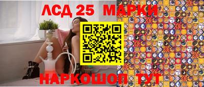 гидропоника Кингисепп