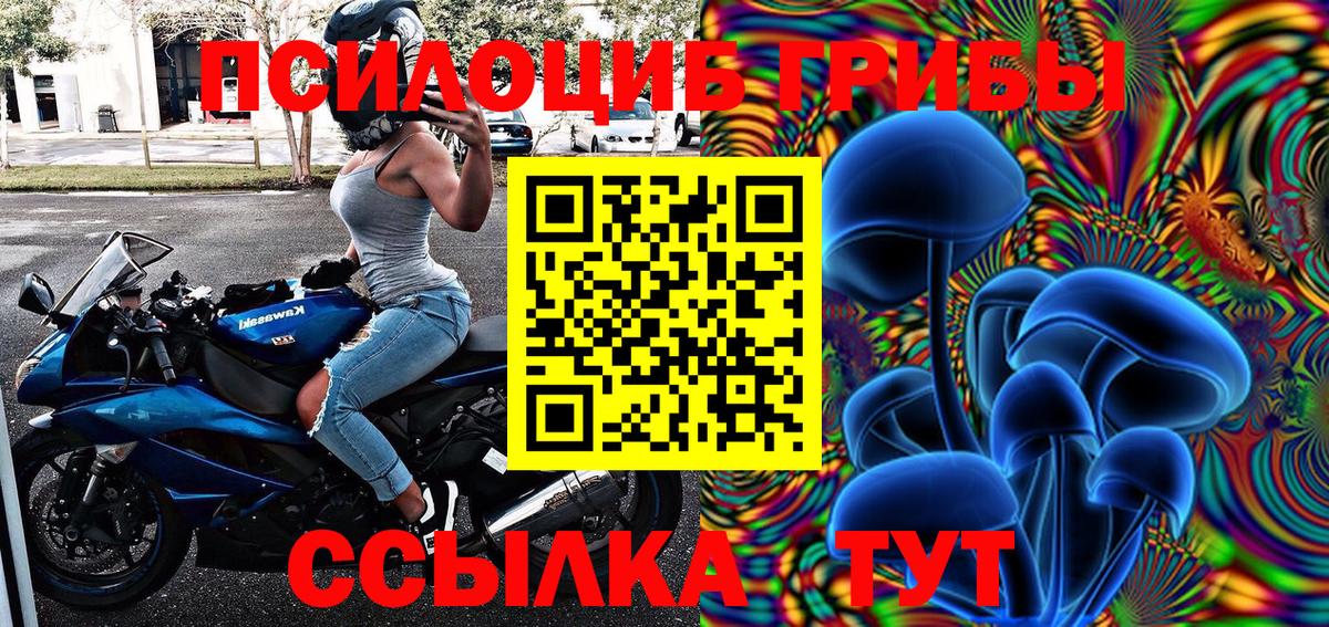 Галлюциногенные грибы прущие грибы  Вход с VPN  Балашов 